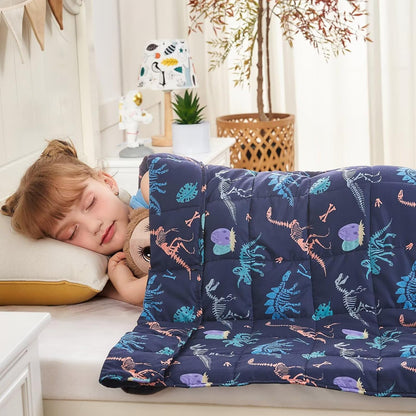 yescool Weighted Lap Pad 2 Pounds Weighted Lap Blanket, Space Plane Small Weighted Blanket, Weighted Throw Blanket Gifts for Travel Indoor Outdoor, 20"x30"