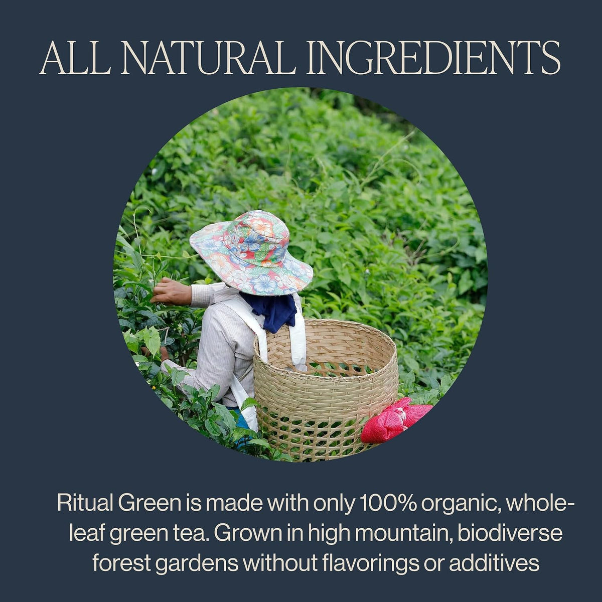 Rishi Tea Ritual Organic Green Tea Sachet Bags, Caffeinated, 15ct
