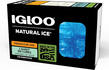 Igloo Maxcold Ice Block,4 Pieces, Ice Block
