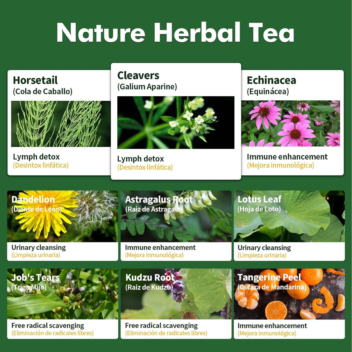 Herbmood Cleavers Lymphatic Drainage Tea Bags for Lymph System Support, Horsetail and Dandelion Organic Herbal Formula, Lymphatic Cleanse & Detox, Edema Relief. Te de Cola de Caballo Herb. 30 Bags