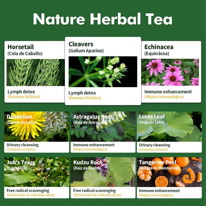 Herbmood Cleavers Lymphatic Drainage Tea Bags for Lymph System Support, Horsetail and Dandelion Organic Herbal Formula, Lymphatic Cleanse & Detox, Edema Relief. Te de Cola de Caballo Herb. 30 Bags