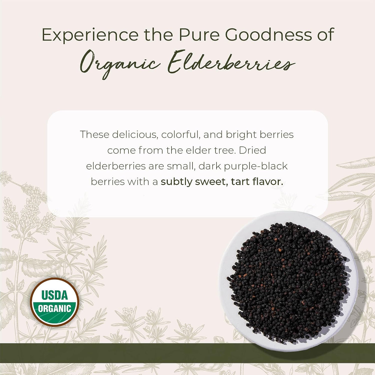 Starwest Botanicals Organic Elderberries for Tea, Non-GMO - Bulk 1 lb Bag