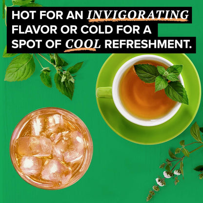 TAZO Refresh Mint Herbal Tea Bags with Peppermint and Spearmint, Caffeine Free, 96 Tea Bags (Pack of 2)