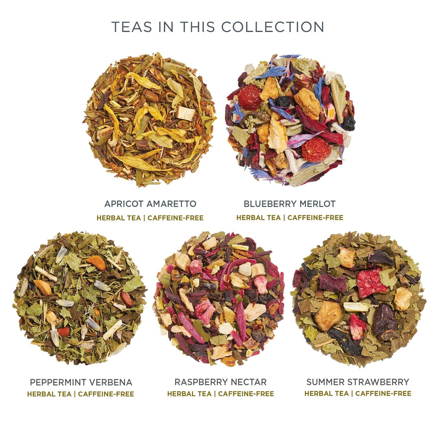 Tea Forte Premium Petite Presentation Box Gift Set Sampler, 10 Count, 2 of Each Blend Individually Wrapped Handcrafted Pyramid Infuser Bags, Demoiselle Tea