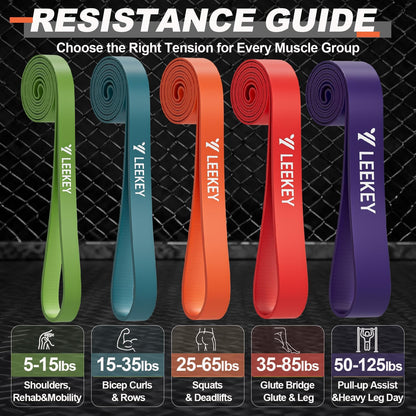 Resistance Bands for Pull Up Assist, Stretch Bands & Exercise Workout Set