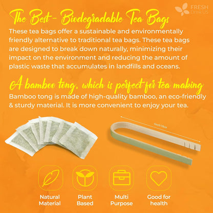 FreshDrinkUS, Premium 210 Ginger Turmeric Tea Bags, 100% Natural Ingredients, Hand-Made Blend Herbal Tea, Eco-Conscious Tea Bags. No Sugar, No Caffeine, No Gluten, Vegan.