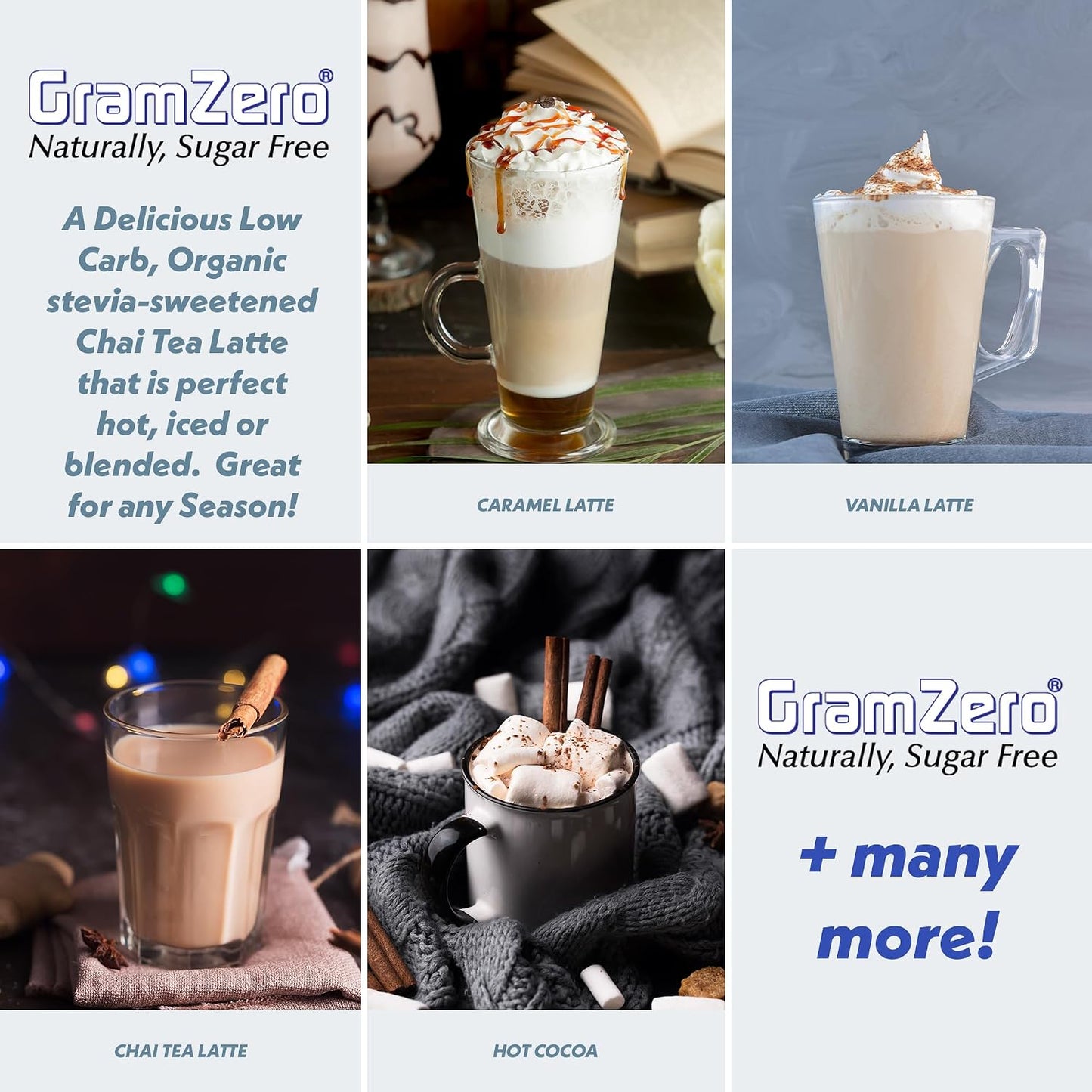 Gramzero Premium Chai Latte Powder Mix | Best Chai Drink Mix | No Sugar Added | Kosher | Stevia Sweetened | 20 Single Serve Packets | Each Packet Makes 8fl Oz Rich and Delicious Instant Chai Tea Latte
