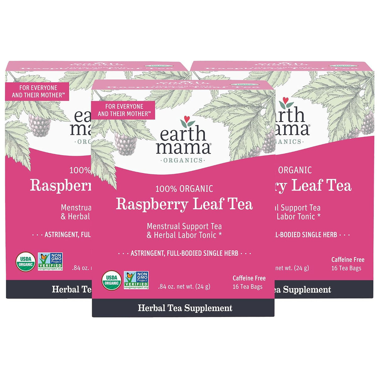 Earth Mama - Organic Raspberry Leaf Tea - 48 Teabags
