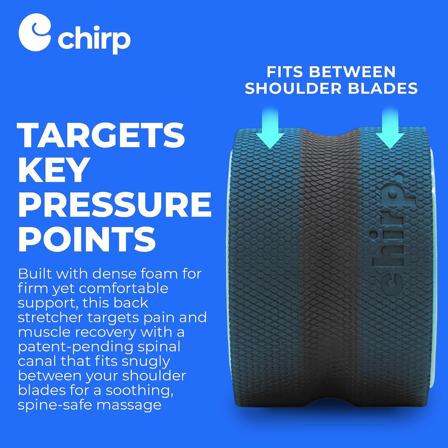 Chirp Wheel Foam Roller - Targeted Back & Neck Pain Relief, Muscle Massage, Trigger Point Therapy, High-Density Foam Tool for Physical Therapy, Stretching & Exercise, 500lbs Capacity, 12-Inch Mint