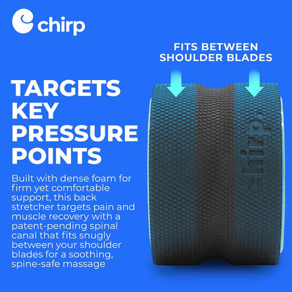 Chirp Wheel Foam Roller - Targeted Back & Neck Pain Relief, Muscle Massage, Trigger Point Therapy, High-Density Foam Tool for Physical Therapy, Stretching & Exercise, 500lbs Capacity, 12-Inch Mint