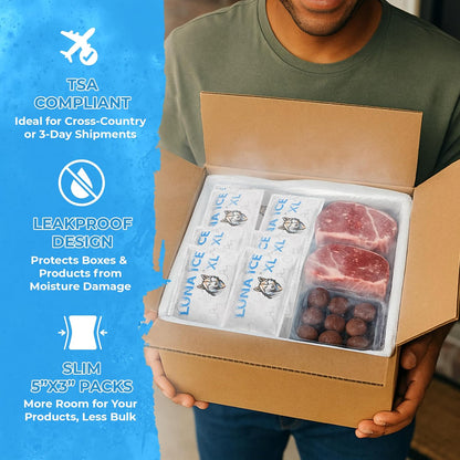 Dry Ice Packs for Shipping - Long Lasting ice Packs - 24+ Hour Freeze Power - BPA Free - 12 Pack Bulk 3 lb – Hielo Seco - Reusable Gel Bricks for Food