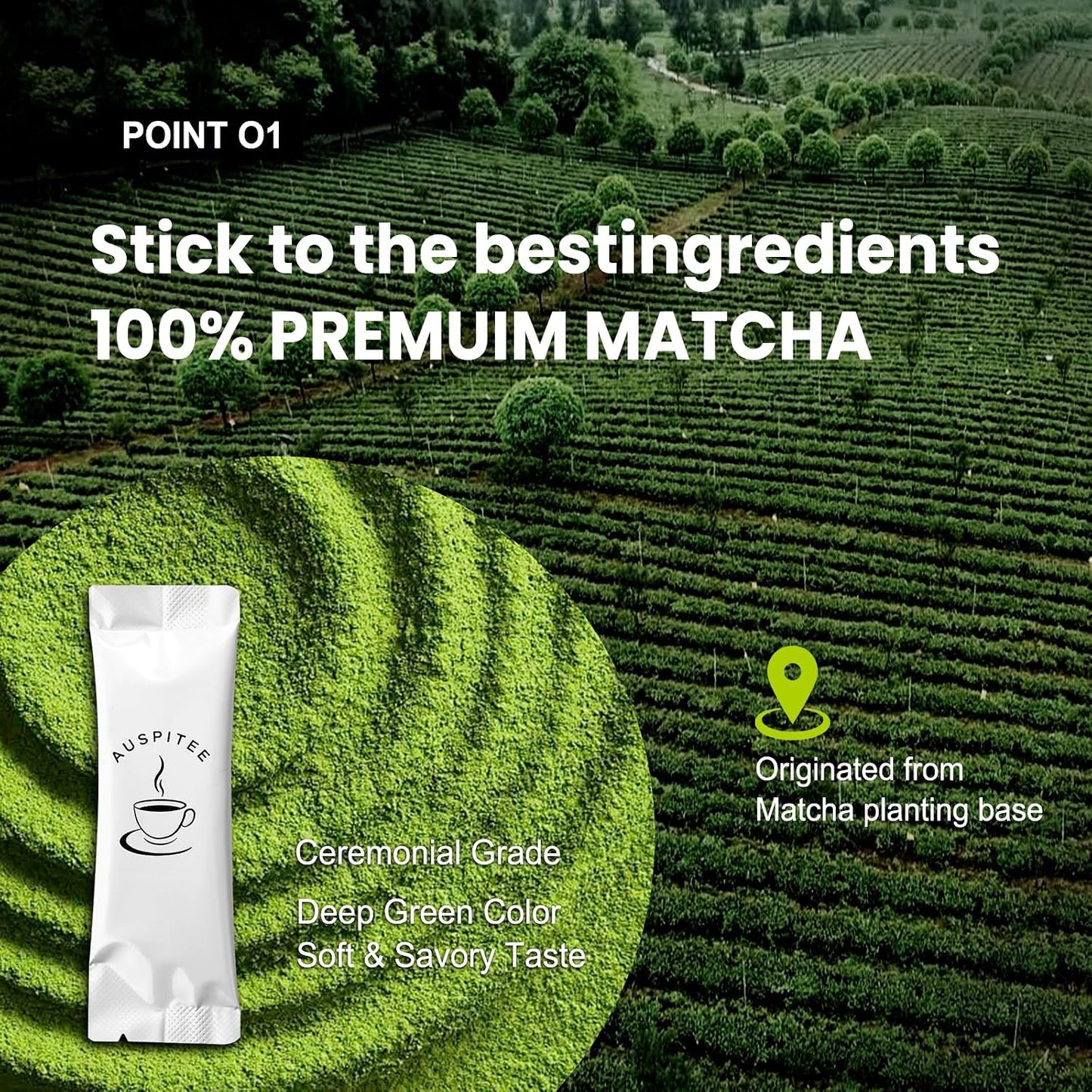 Matcha Latte Green Tea Powder Single Pack, Premium Barista Science Blend - Individual Matcha Bags (20)