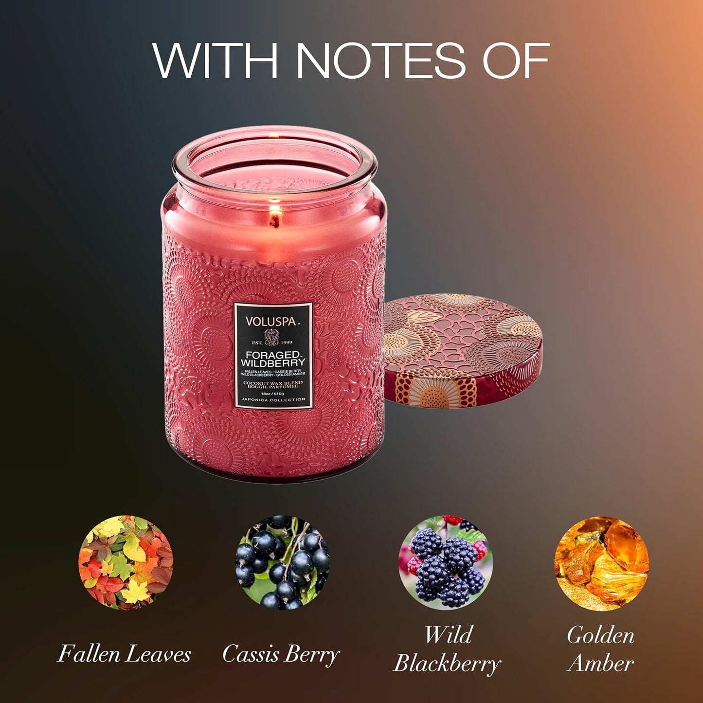 Voluspa Baltic Amber Candle, 18 oz, Coconut Wax Blend, Scented Candles for Home, 100 Hour Burn Time, Candle Jar