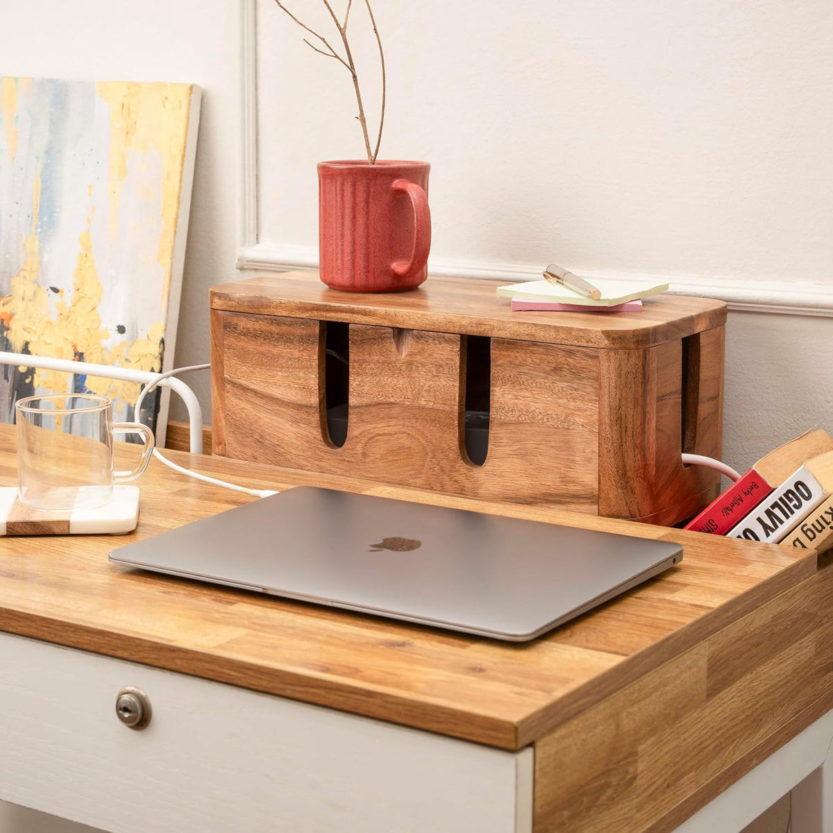 Cable Management Box, Power Strip & Extension Cord Hider, Desk Organizer
