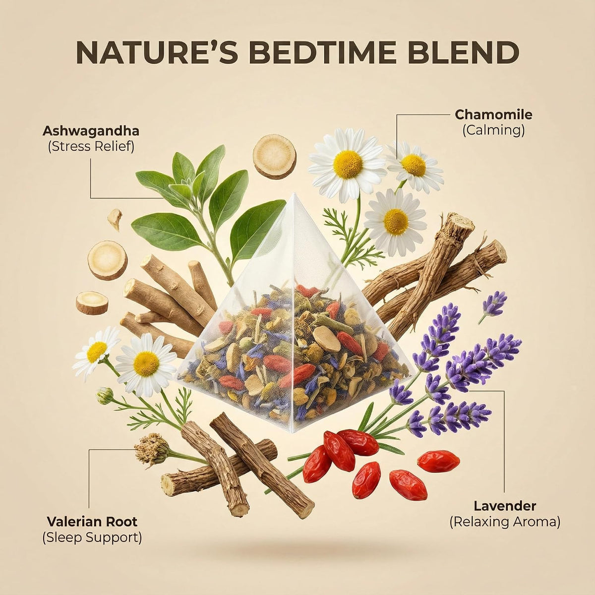 Herblight Valerian Root Night Time Tea with Lavender & Chamomile - Caffeine-Free Calming Herbal Blend for Relaxation & Stress Relief - Premium Whole Leaf Ashwagandha Tea (15 Sachets)