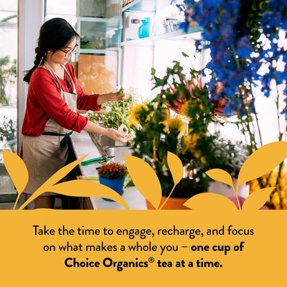Choice Organics Mandarin Ginger Tea, 16 Tea Bags (3 Pack)