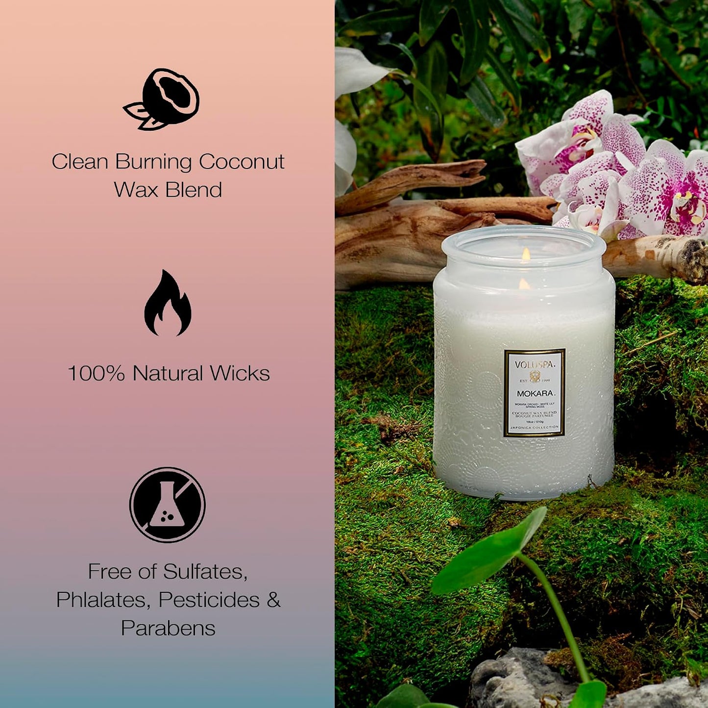 Voluspa Baltic Amber Candle, 18 oz, Coconut Wax Blend, Scented Candles for Home, 100 Hour Burn Time, Candle Jar