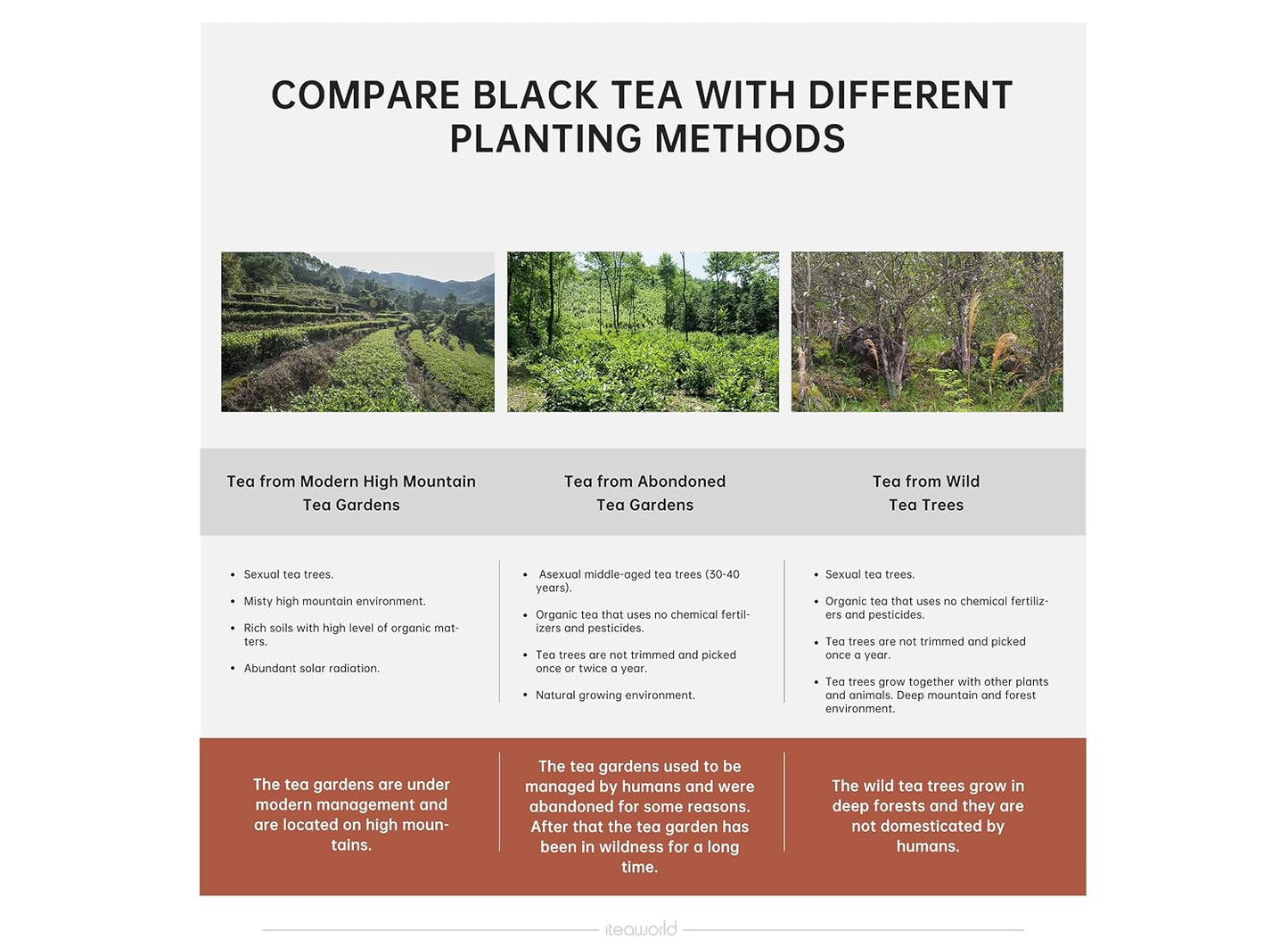 iTeaworld Loose Leaf Chinese Tea Sampler, 8 Flavors (Oolong Tea, Jasmine Flower Tea, Green Tea and White Tea), Each Flavor Comes With 2 Packs Of Loose Leaf Tea Sampler, With Mediumly Caffeinated, Sugar Free for Health, 2.1oz