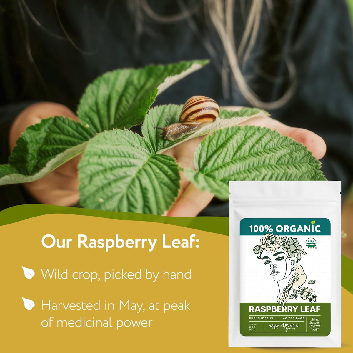 Organic Raspberry Leaf Tea Bags (40 Bleach-Free & Microplastic-Free TeaBags) - Womens Health, Fertility