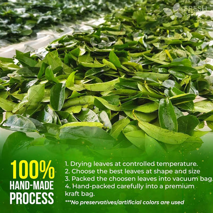 FreshDrinkUS, 240+ Premium Soursop Graviola Dried Leaves Tea, 230-250 Whole Soursop Leaves, Wildcrafted, Graviola , Guanabana , Hoja Guanabana, Loose Leaf Herbal , No Gluten, Vegan