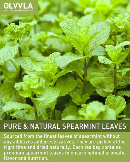 Olvvla - Spearmint Tea Bags - 1.5g X 50 Count - Pure Spearmint Leaves
