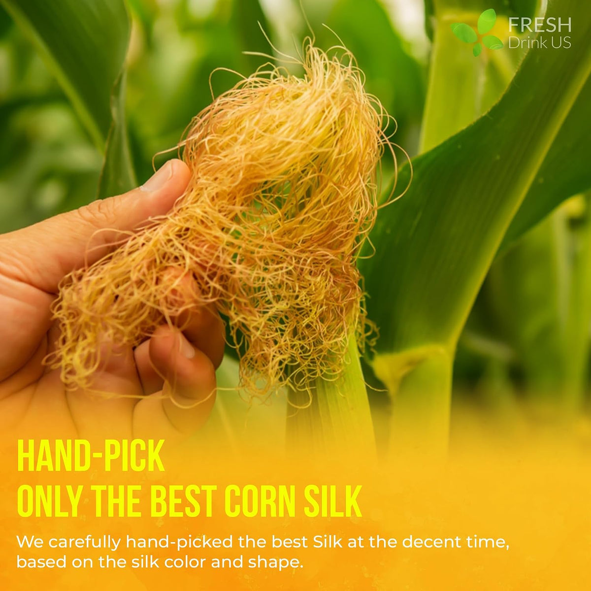 FreshDrinkUS, Premium 10 Tea Bags Corn Silk Tea, 100% Natural & Pure from Corn Silk. Herbal Tea. Clean Ingredients. Made with Natural Material Tea Bags. No Sugar, No Caffeine, Vegan.