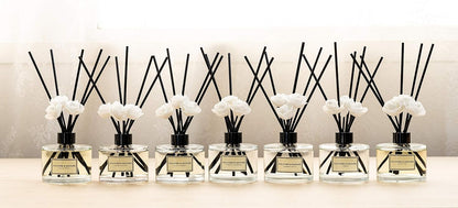 CULTURE & NATURE Reed Diffuser Set 4oz (120ml) Clean Cotton Scented Diffuser with Sticks Home Fragrance Reed Diffuser for Bathroom Shelf Decor