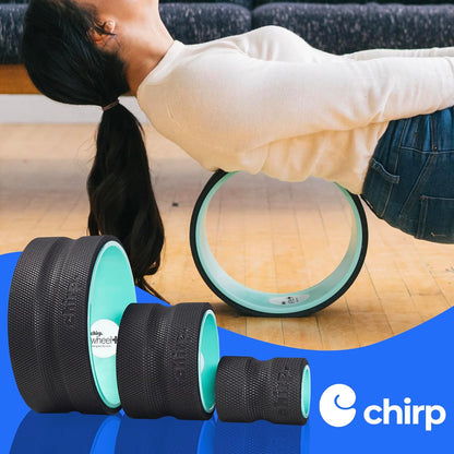 Chirp Wheel Foam Roller - Targeted Back & Neck Pain Relief, Muscle Massage, Trigger Point Therapy, High-Density Foam Tool for Physical Therapy, Stretching & Exercise, 500lbs Capacity, 12-Inch Mint