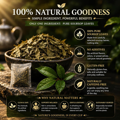 WOTIHA 45 Count Premium Soursop Graviola Tea Bags - 100% Natural soursop leaves, Non-GMO, Caffeine/Sugar/Gluten Free Vegan, Food-Grade Biodegradable Bags, Hojas De Guanabana.