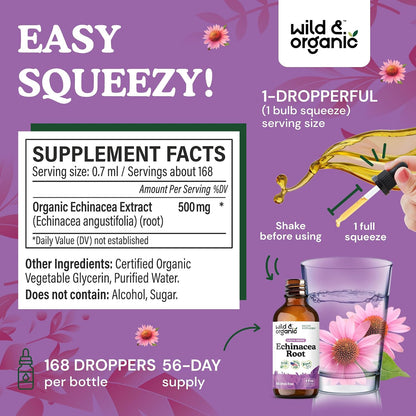 Wild & Organic Echinacea Drops - Immune & Lymphatic Drainage Drops - 4 oz