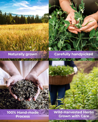 50 Bags Chaste Tree Berry Сhasteberry Tea Vitex Tea Herb (Vitex Agnus-Castus) - 2 g Bags Chaste Tree Berry Herbal Vitex Sauzgatillo