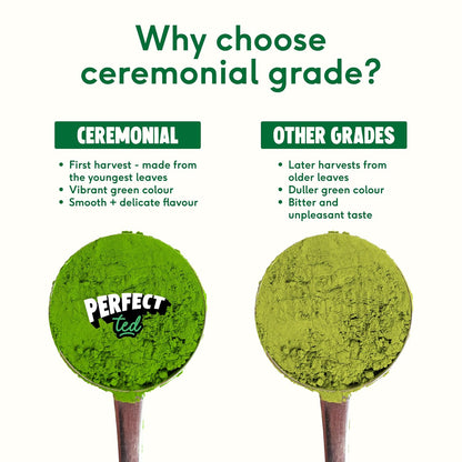 PerfectTed Matcha Powder, Ceremonial Grade Japanese, 30g (30 Servings), Perfect for Lattes & Smoothies | Premium Matcha Fuel | with L-Theanine | Antioxidants | Vegan | Gluten-Free
