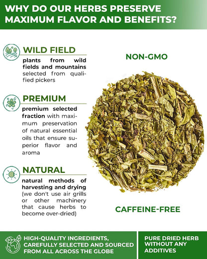 30 Bags Plantain Leaf Herb Tea Dried Plaintains Leaves (Plantago Major) - 30 Count 2g Tea Bags Greater Broadleaf Plantain Leaf Llanten