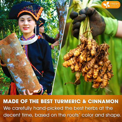 FreshDrinkUS, Premium Turmeric Cinnamon Tea - 75 Bags, 100% Natural, Blend of Turmeric, and Cinnamon. Made with Eco-Conscious Tea Bags. No Sugar. No Caffeine. Vegan.