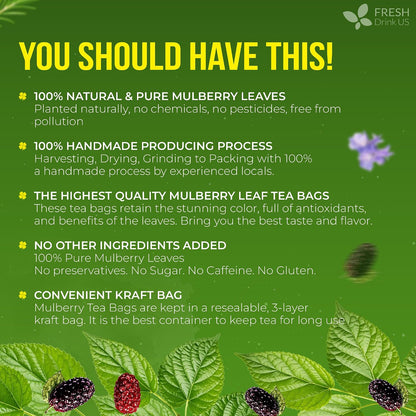 FreshDrinkUS, Premium Mulberry Leaf Tea, 120 Count, Pure, Caffeine Free