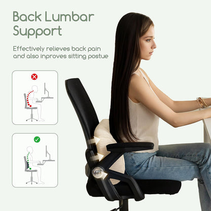 HIGOGOGO Lumbar Support Pillow for Recliner Chair/Accent Chair/Couch, Memory Foam Back Support Cushion for Elderly, Recliner Cushions for Back Rest, Pain Relief, Reading, Washable Cover, Dark Grey