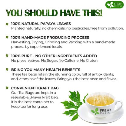 FreshDrinkUS, Premium 40 Papaya Leaf Tea Bags, 100% Natural & Pure from Papaya Leaves. Loose Leaf Herbal Tea. Made with Natural Material Tea Bags. No Sugar, No Caffeine, No Gluten, Vegan.