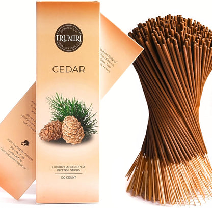 Hem Incense Sticks Variety Pack #23-120 Insence-Sticks (6 Incents x 20 Insense) + Incense Stick Holder with 6 Most Liked Scents Including Patchouli Dragons Blood White Sage Frankincense-Myrrh