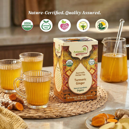 Adanim Bio Organic Turmeric Ginger Herbal Tea Bags Caffeine Free Pure Herbal Blend with Black Pepper USDA Organic Vegan & Kosher 20 Individually Wrapped Tea Bags