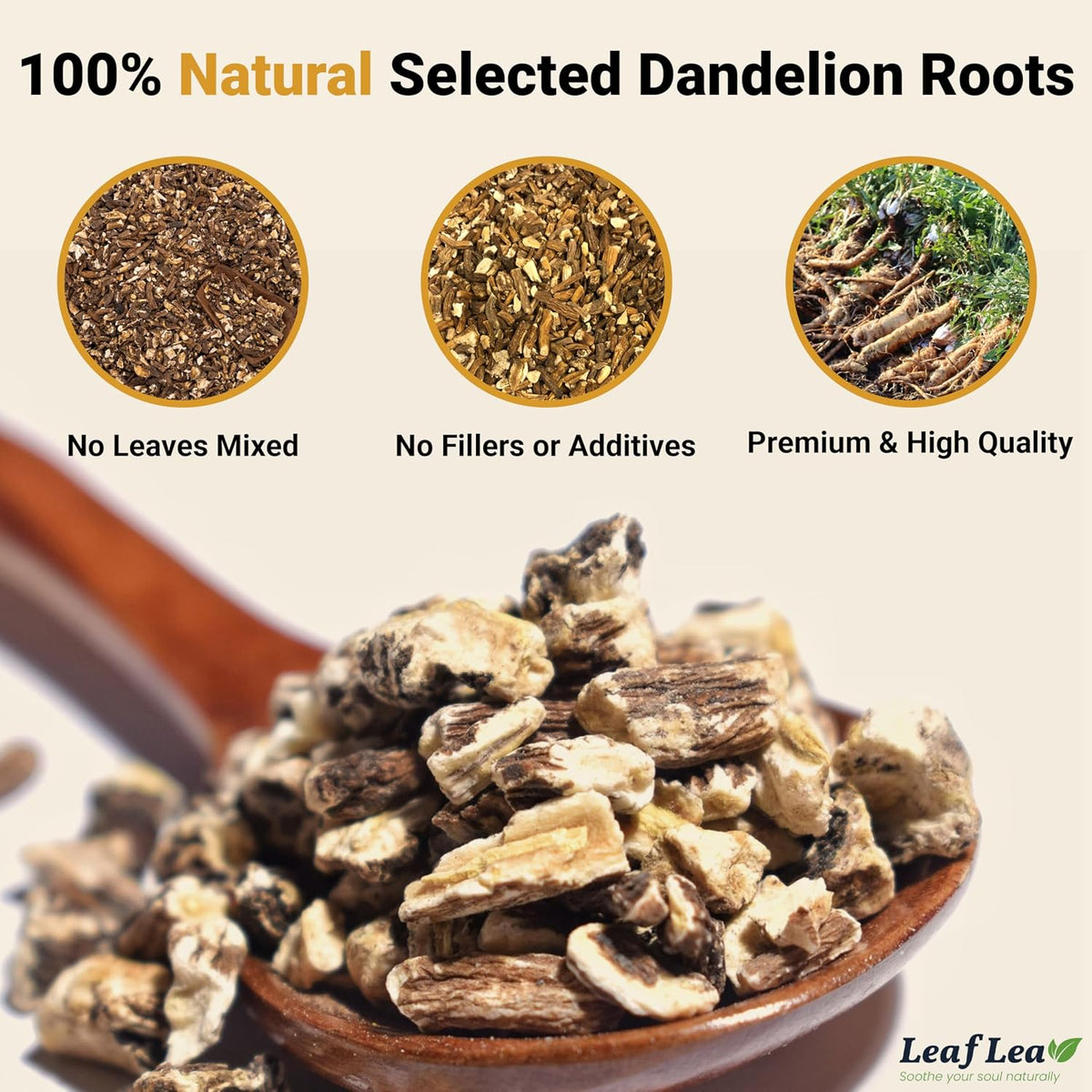 LeafLea Dandelion Root Tea Bags, Natural And Pure, 120 Count