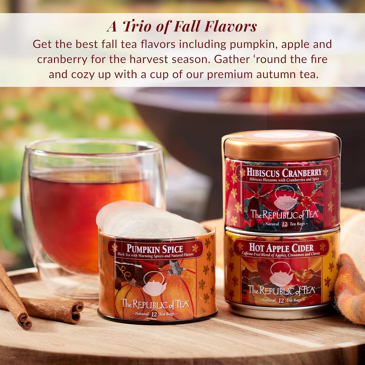 The Republic of Tea Harvest Stackable Tea Sampler