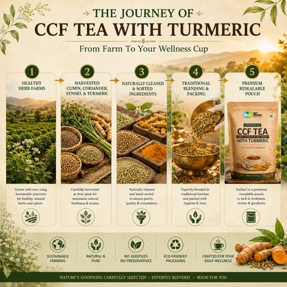 CCF Tea (Cumin, Coriander, Fennel) with Turmeric - Supports Natural Detoxification 8 Ounces (Pack of 1)