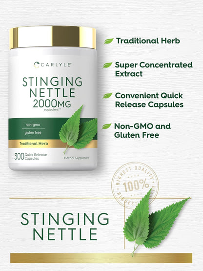 Carlyle Stinging Nettle Leaf Extract Supplement | 300 Capsules
