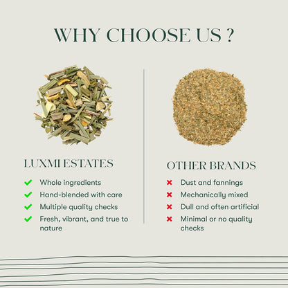 Luxmi Estates Organic Lemon Ginger Root Tea for Digestion & Immunity | Caffeine Free | 50 Biodegradable Teabags (50 cups)
