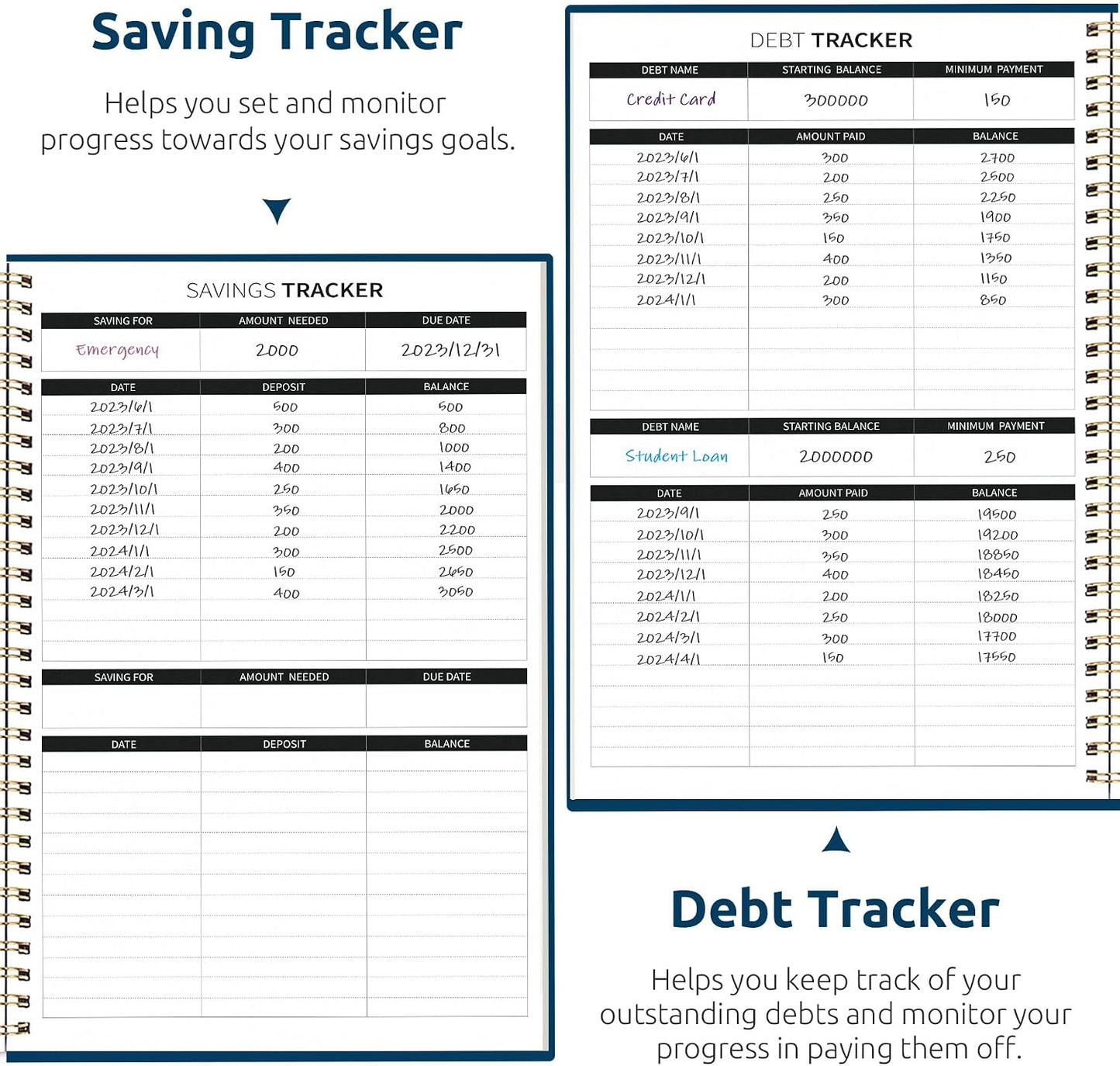 Budget Planner - Monthly Budget Book with Expense Tracker Notebook, Undated Bill Organizer & Finance Planner to Take Control of Your Money, Account Book to Manage Your Finances-Pink