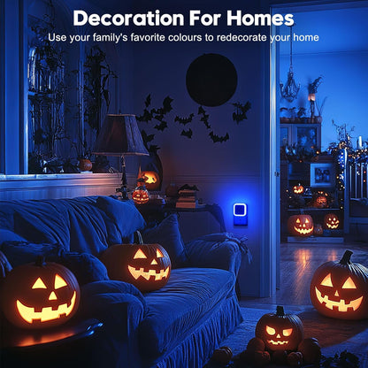 Sujeet Night Light, Night Lights Plug into Wall,Nightlight Plug in Night Light, Dusk to Dawn Night Lamp Led Night Lights for Adults Bedroom, Bathroom, Hallway (Amber)