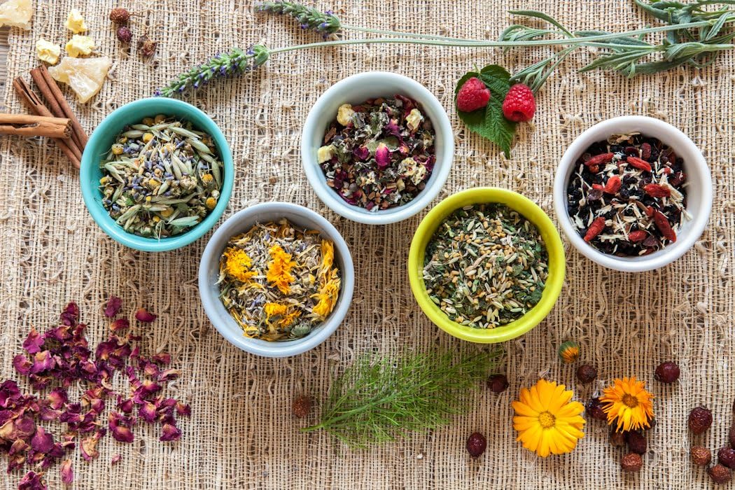 Birds & Bees Teas - Elderberry Tea - Family Immunity Tea is a blend of Immunity Herbs! Makes A Delicious Sambucus Elderberry Syrup - 40 Servings, 9.0 oz