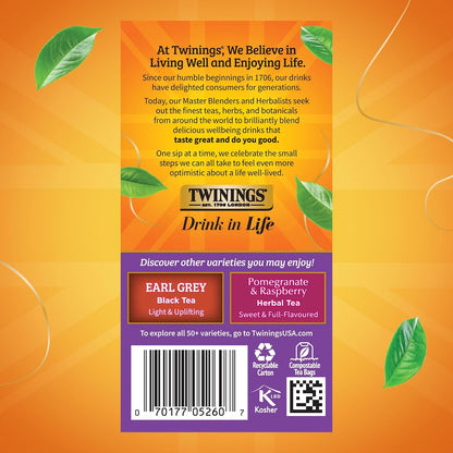 Twinings Blackcurrant Breeze Black Tea Individually Wrapped Bags, 20 Count (Pack of 6), Sweet, Tangy Taste, Caffeinated, Enjoy Hot or Iced, 120 Teabags
