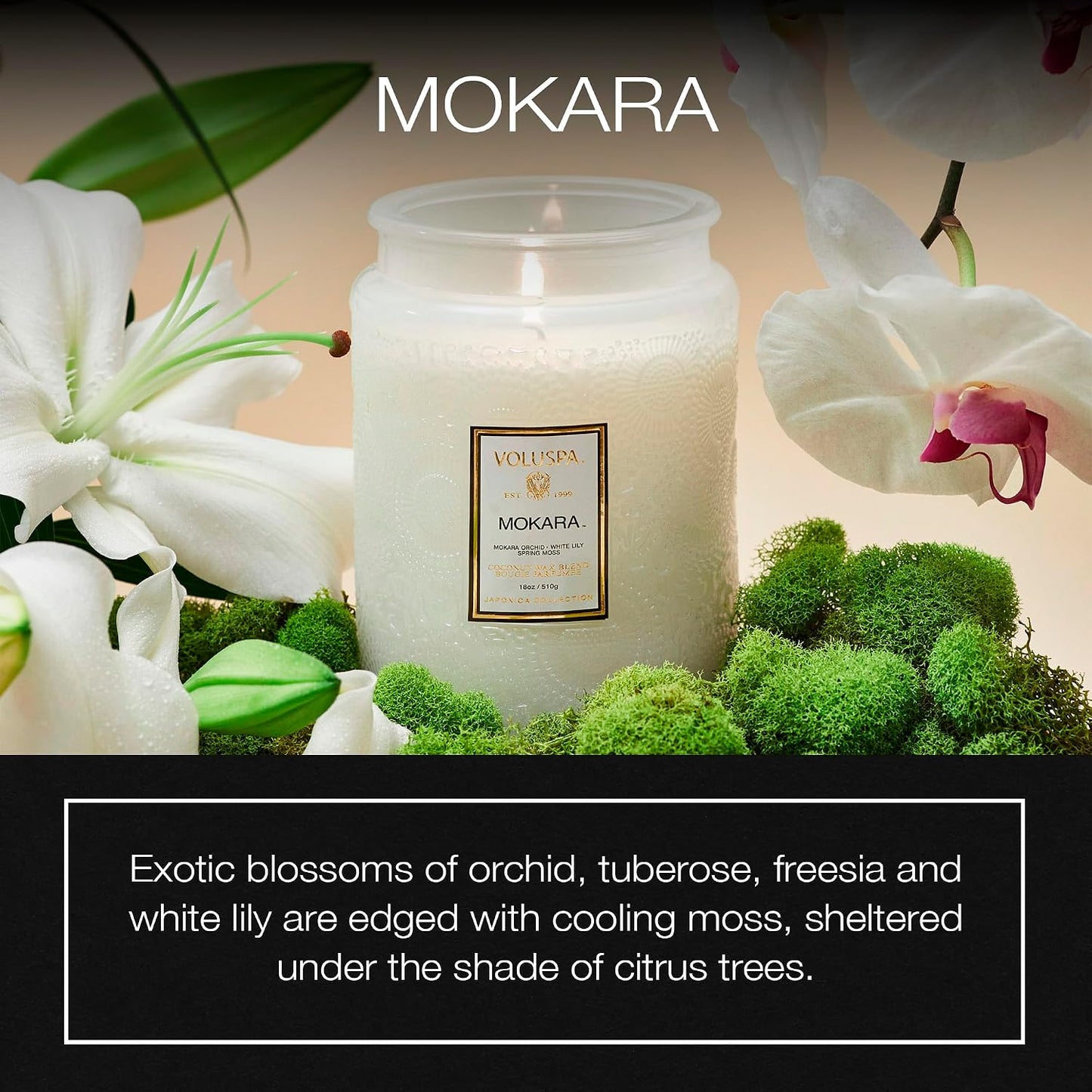 Voluspa Baltic Amber Candle, 18 oz, Coconut Wax Blend, Scented Candles for Home, 100 Hour Burn Time, Candle Jar