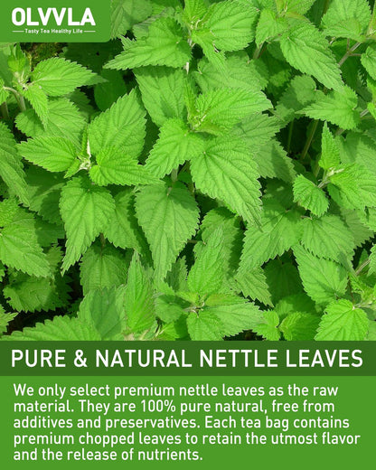 Olvvla - Nettle Leaf Tea - 1.5g X 60 Count - Pure Stinging Nettle Leaves